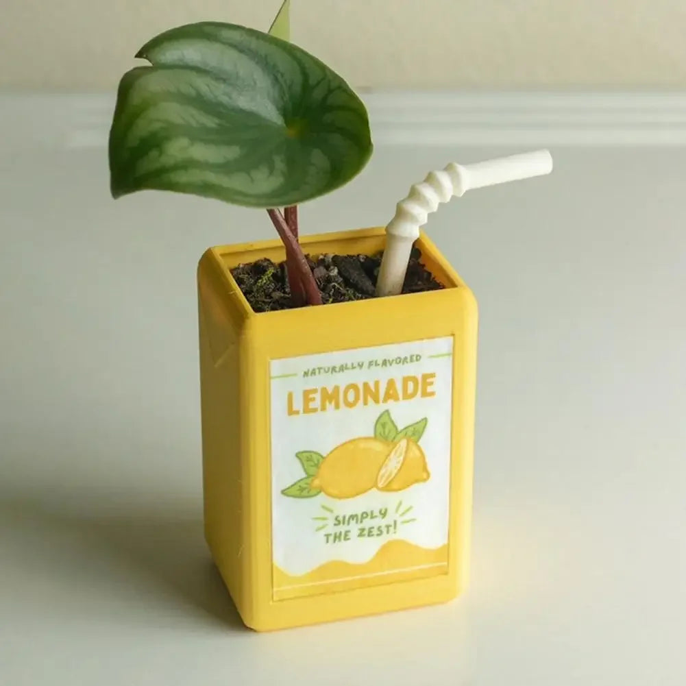 Vases Drinks