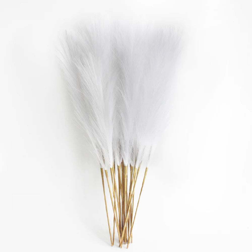 Pampas