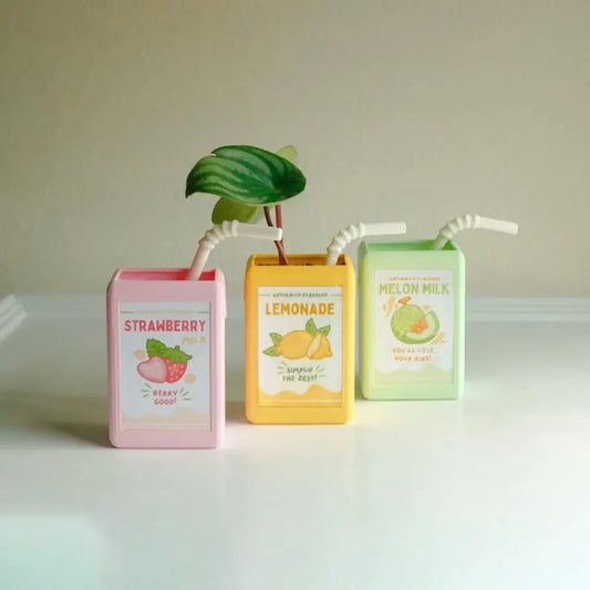 Vases Drinks
